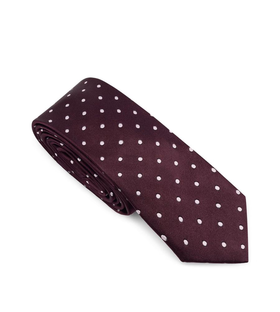 SATIN POLKA DOT TIE