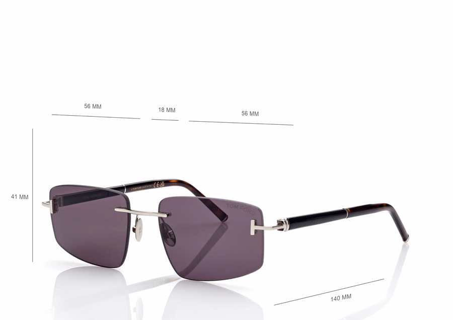 SQUARE TITANIUM AND HORN SUNGLASSES